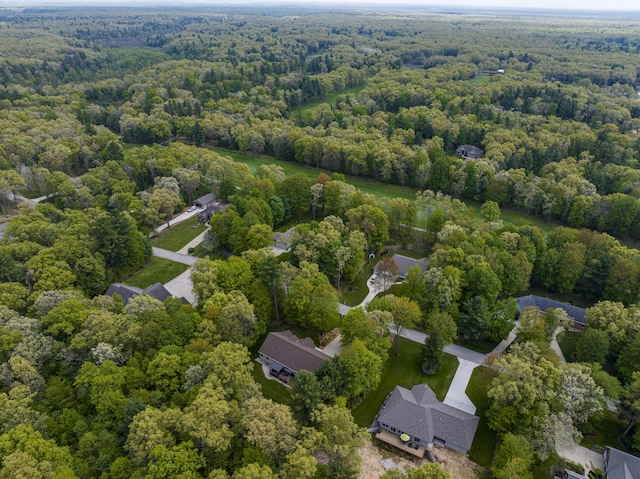 bird's eye view of a forest