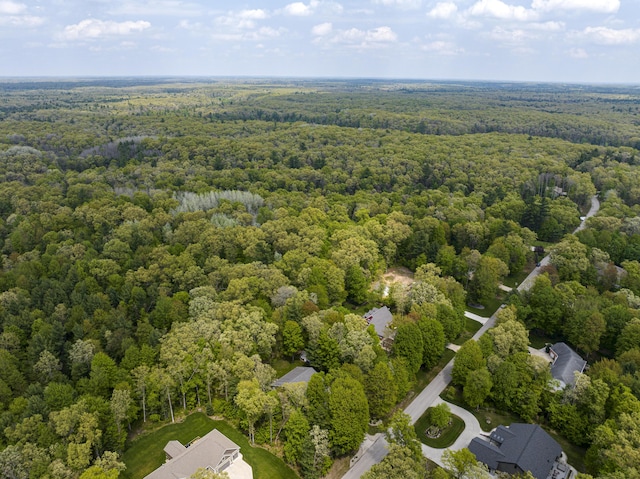 aerial view of a forest