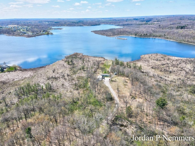 12375 Overlook Dr NE, Greenville, MI 48838 - drone / aerial view of a nearby body of water and a forest
