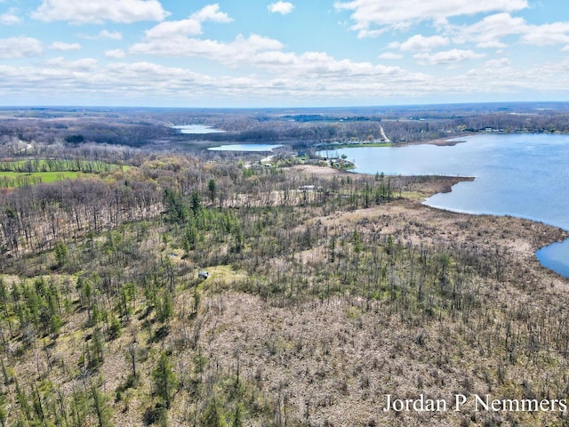 12375 Overlook Dr NE, Greenville, MI 48838 - bird's eye view of a large body of water and a heavily wooded area