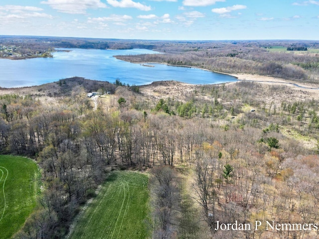 12375 Overlook Dr NE, Greenville, MI 48838 - aerial view of property's location with a large body of water and a forest