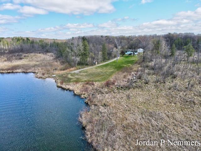 12375 Overlook Dr NE, Greenville, MI 48838 - bird's eye view of a large body of water