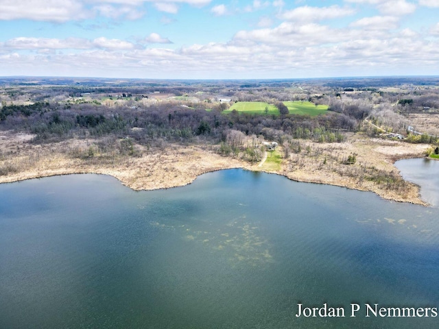 12375 Overlook Dr NE, Greenville, MI 48838 - bird's eye view of a nearby body of water