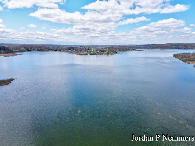 12375 Overlook Dr NE, Greenville, MI 48838 - water view