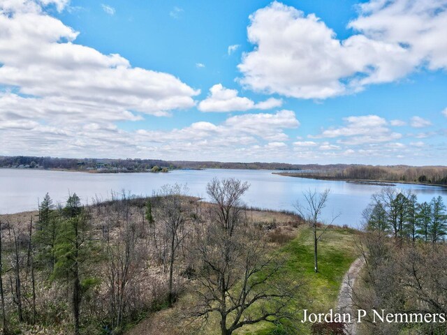 12375 Overlook Dr NE, Greenville, MI 48838 - water view