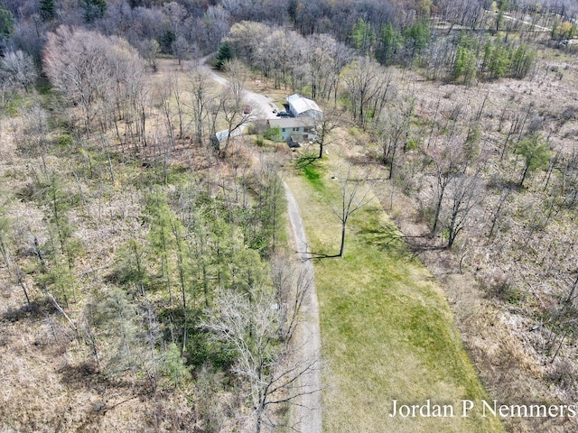 12375 Overlook Dr NE, Greenville, MI 48838 - aerial view of property and surrounding area
