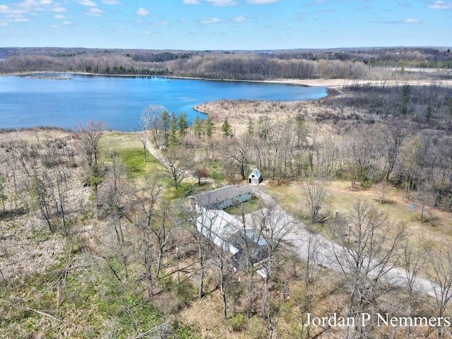 12375 Overlook Dr NE, Greenville, MI 48838 - aerial view of a nearby body of water