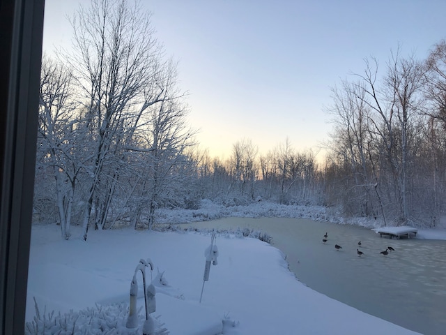 1355 W Buell Rd, Oakland, MI 48363 - view of yard covered in snow