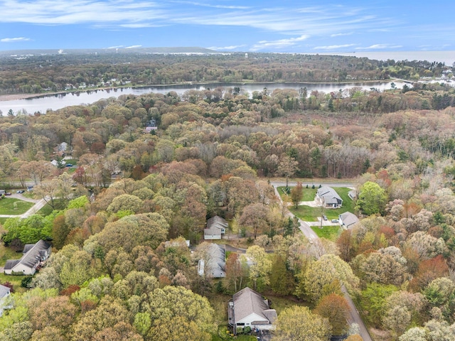 1658 Ridgeview Ct, Ludington, MI 49431 - aerial view of property's location with a large body of water and a forest