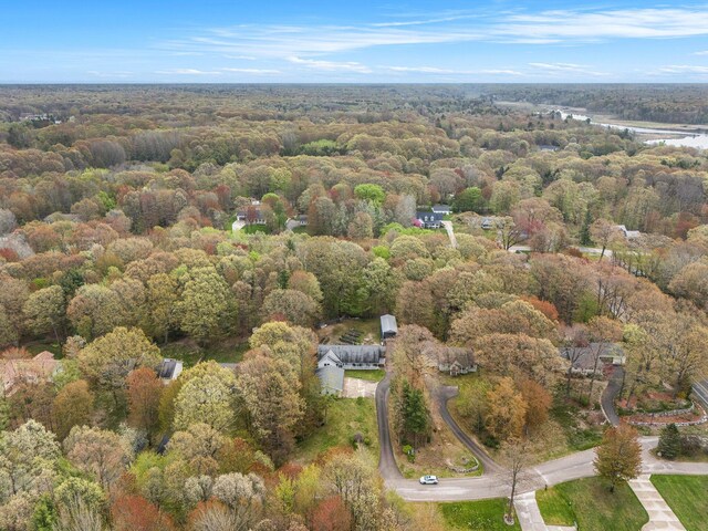 1658 Ridgeview Ct, Ludington, MI 49431 - aerial overview of property's location with a heavily wooded area