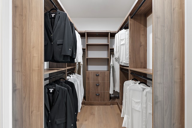 2051 Villa Rd Unit 204, Birmingham, MI 48009 - spacious closet with light wood-style flooring