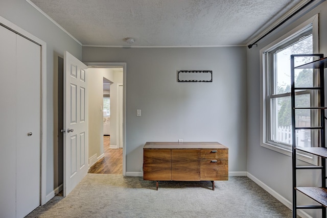 unfurnished bedroom featuring carpet, a textured ceiling, multiple windows, crown molding, and baseboards