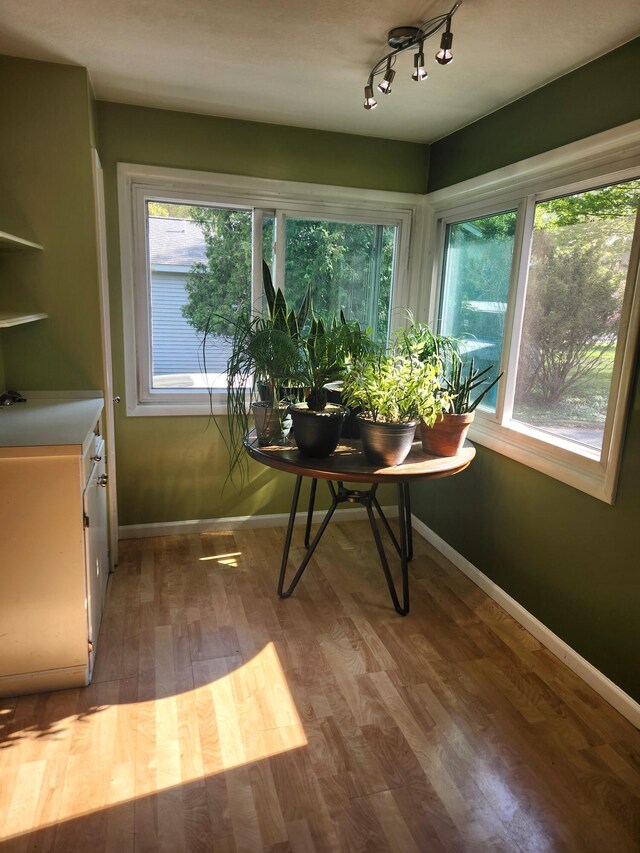 dining space featuring baseboards, wood finished floors, and rail lighting