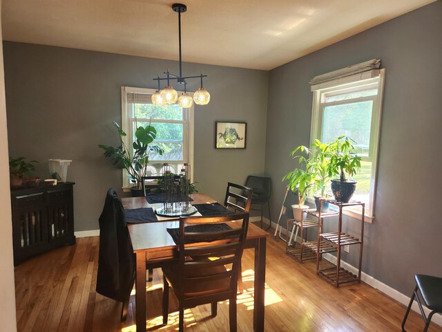 dining area featuring wood finished floors and baseboards
