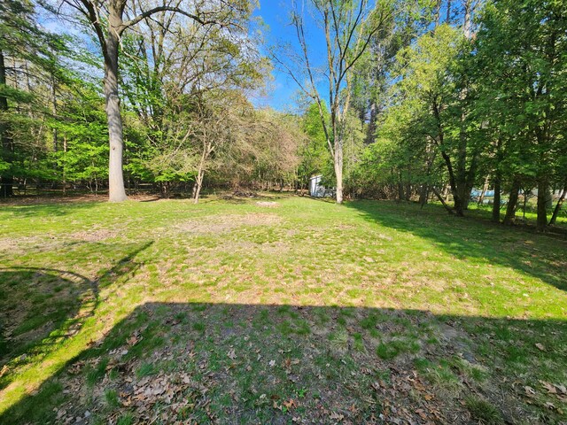 view of grassy yard