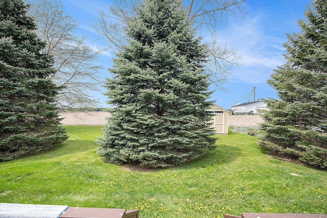 5361 Lin Hill Dr, Swartz Creek, MI 48473 - view of green lawn