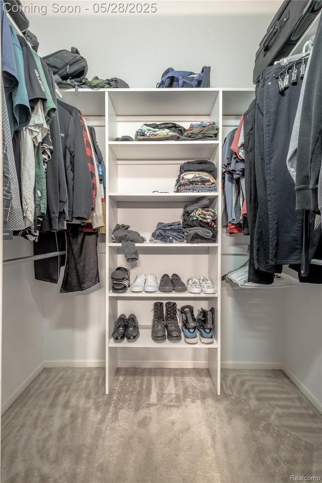 105 Crescent Hill Dr, Ortonville, MI 48462 - walk in closet featuring carpet flooring