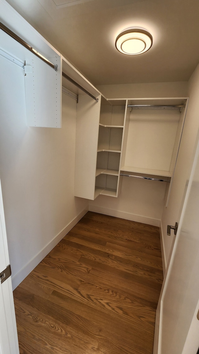 walk in closet featuring dark wood-type flooring