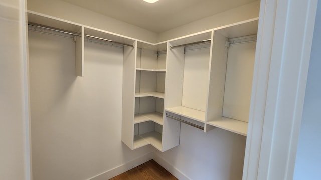 spacious closet featuring dark wood-style floors