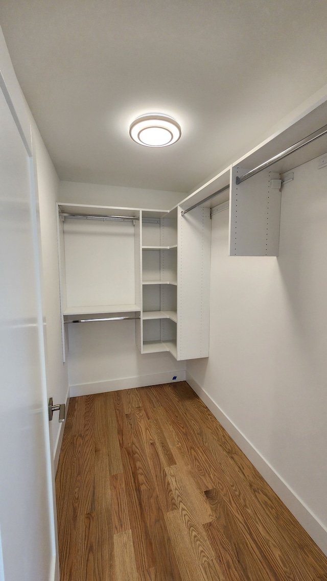 walk in closet featuring wood finished floors