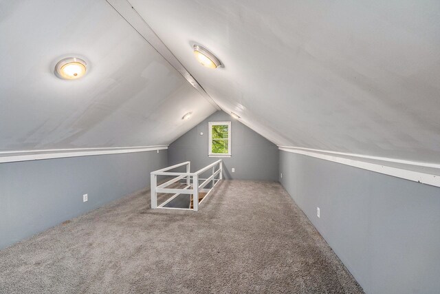 22619 Santa Maria St, Detroit, MI 48219 - additional living space featuring carpet floors and lofted ceiling