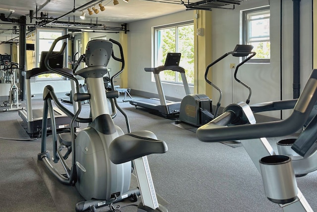 exercise room with baseboards and carpet