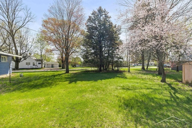 301 W Fourth St, Gladwin, MI 48624 - view of green lawn