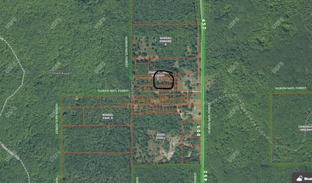 5569 Pine St, Curran, MI 48728