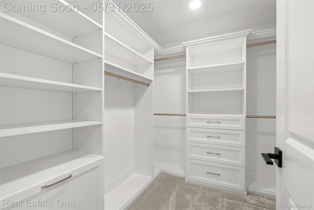 48556 Harbor Dr, Chesterfield, MI 48047 - walk in closet with light carpet