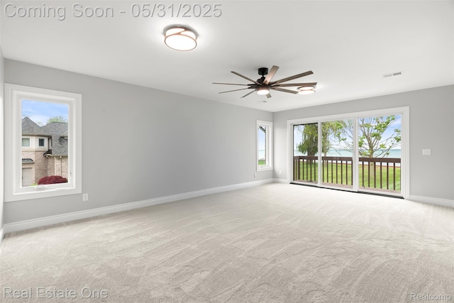 48556 Harbor Dr, Chesterfield, MI 48047 - spare room with baseboards, plenty of natural light, ceiling fan, and carpet flooring