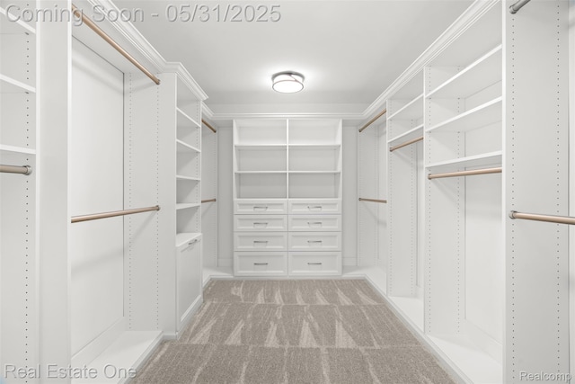48556 Harbor Dr, Chesterfield, MI 48047 - walk in closet with light carpet
