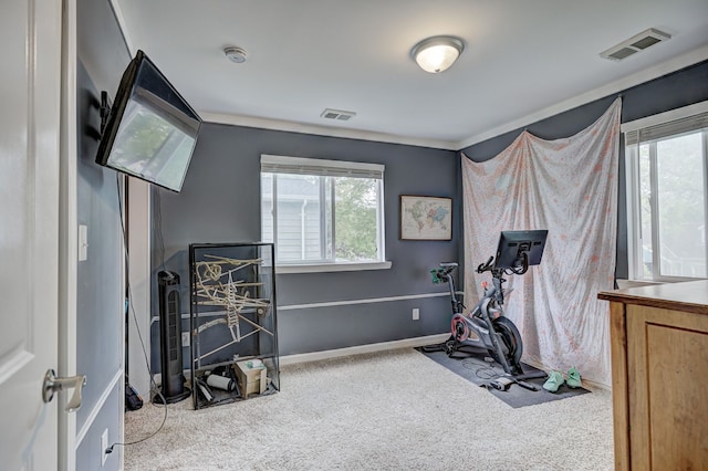 2230 Princeton Rd, Berkley, MI 48072 - exercise room with carpet flooring, healthy amount of natural light, and crown molding