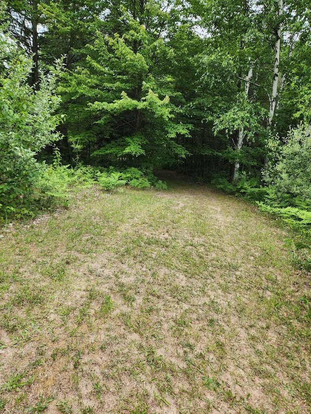 view of yard featuring a wooded view