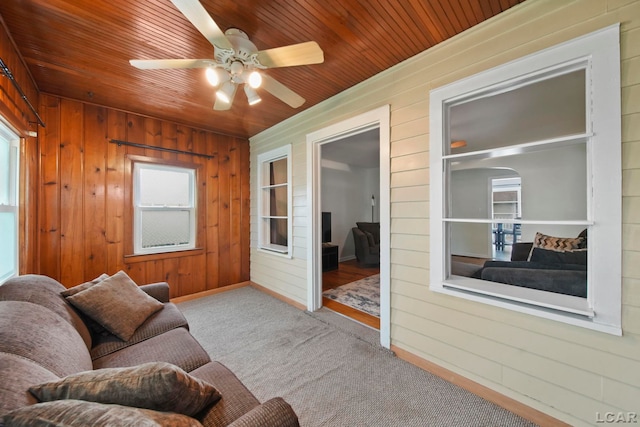 1107 Sunset Dr, Tecumseh, MI 49286 - living area with wood walls, wood ceiling, a ceiling fan, plenty of natural light, and carpet floors