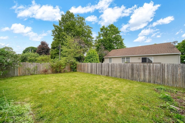 1107 Sunset Dr, Tecumseh, MI 49286 - view of yard