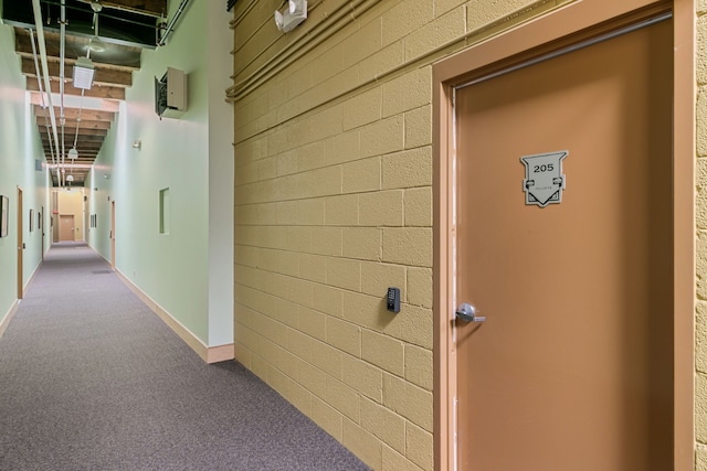 3434 Russell St Unit 28-205, Detroit, MI 48207 - hallway with carpet floors