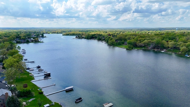 4120 Bunker Ave, West Bloomfield, MI 48323 - drone / aerial view of a large body of water and a forest