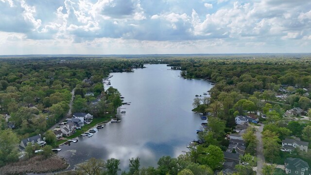 4120 Bunker Ave, West Bloomfield, MI 48323 - drone / aerial view of a heavily wooded area and a nearby body of water