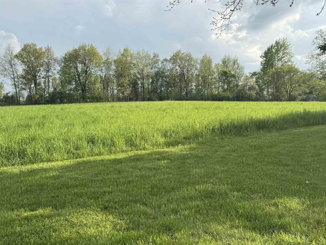 1627 S M-52 Hwy, Owosso, MI 48867 - view of nature with rural landscape