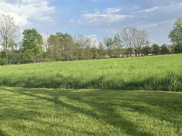 1627 S M-52 Hwy, Owosso, MI 48867 - view of yard with a view of rural / pastoral area