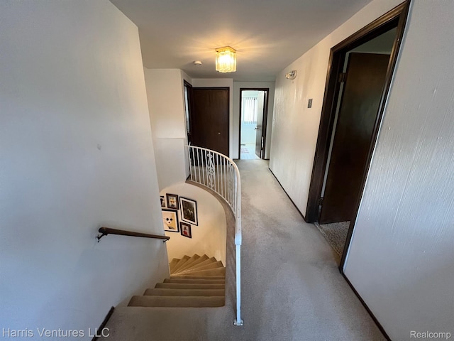 29430 Marimoor Dr, Southfield, MI 48076 - stairway with carpet floors