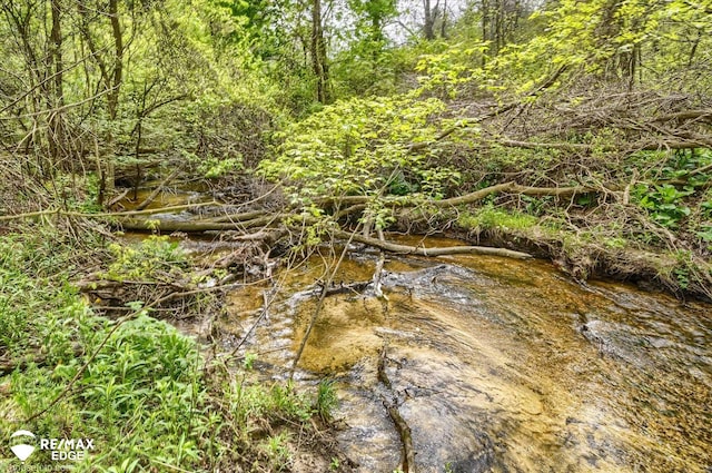 500 Granger Rd, Ortonville, MI 48462 - view of wooded area