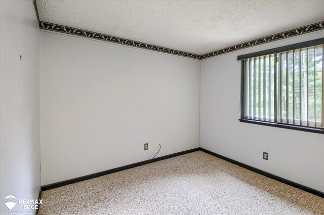 500 Granger Rd, Ortonville, MI 48462 - spare room featuring plenty of natural light, a textured ceiling, baseboards, and carpet floors
