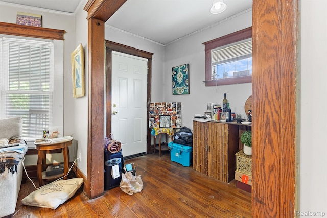 7501 Dunedin St, Detroit, MI 48206 - entryway featuring wood finished floors, crown molding, plenty of natural light, and baseboards