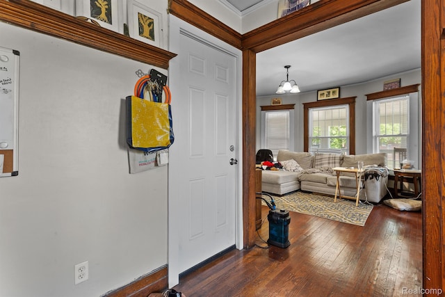 7501 Dunedin St, Detroit, MI 48206 - foyer featuring dark wood-type flooring and a chandelier