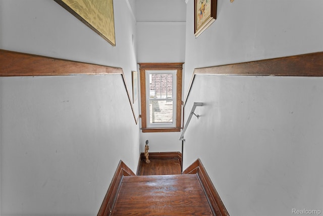 7501 Dunedin St, Detroit, MI 48206 - stairway featuring baseboards