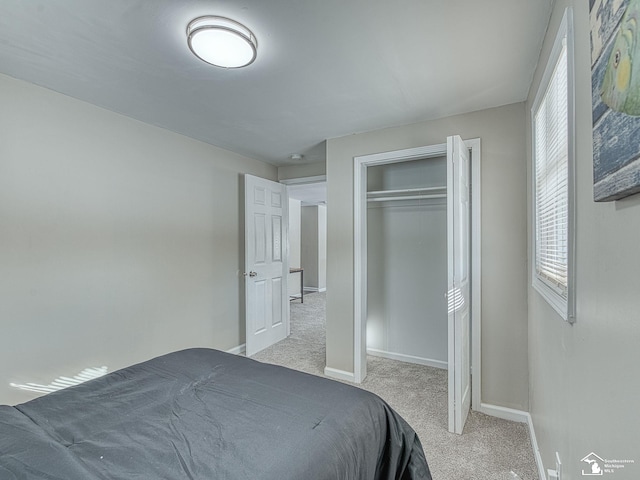 19106 Sylvia Ave, Romulus, MI 48174 - bedroom featuring carpet floors, baseboards, and a closet