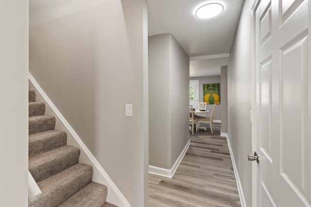 532 Chestnut St, Wyandotte, MI 48192 - stairs with wood finished floors and baseboards