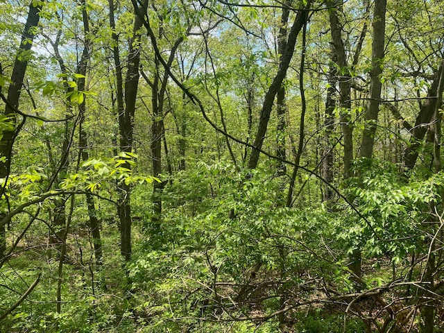 UNIT23PINECREEKBLUFFS Rexford Ct, Brighton, MI 48116