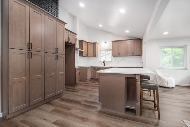 16114 Alpine Dr, Livonia, MI 48154 - kitchen featuring recessed lighting, a sink, plenty of natural light, wood finished floors, and lofted ceiling